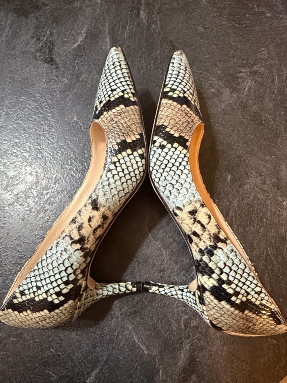 Nine West Snake-Print Pointed Toe Pumps in Cream and Black - Picture 6 of 7